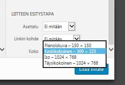 Liitteen esittelytapa: Asettelu, sivun alalaita: Mediatiedosto valinta näyttää alkuperäisen, voi