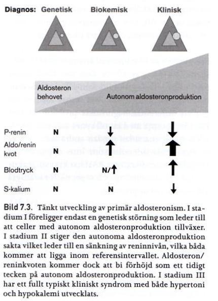 Hyperaldosteronismi Primaarinen hypera (korkea A, matala R) Uusista hypertoniatapauksista 3-12 % Lisämunuaisen primaarinen hyperplasia 65%, kasvain (adenooma 35%, karsinooma, ektooppinen kasvain)