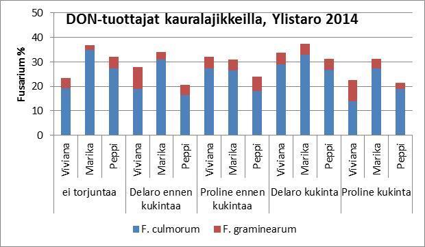 Torjunta kauralla kukinnan aikaan Koe Ylistarossa 2014 Valmisteet Delaro 325SC ja Proline 250EC Ei juurikaan vaikutuksia