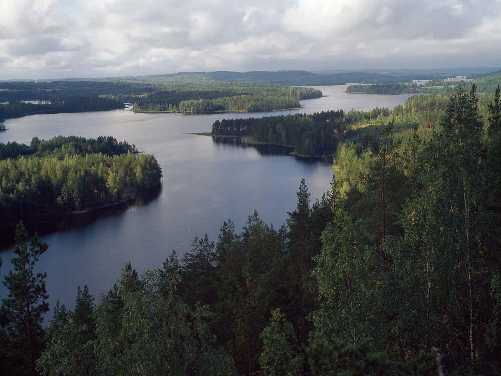 Kiitos!