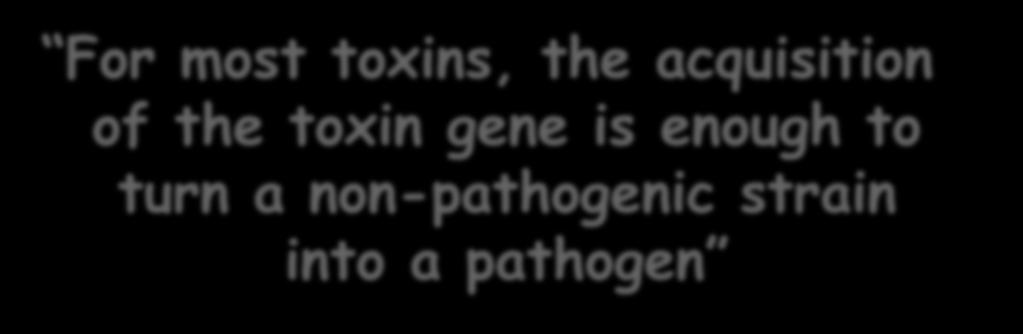 For most toxins, the acquisition of the toxin gene is enough to turn a non-pathogenic strain into a pathogen Diphtheria toxin Botulinum toxin Cholera toxin Corynebacterium