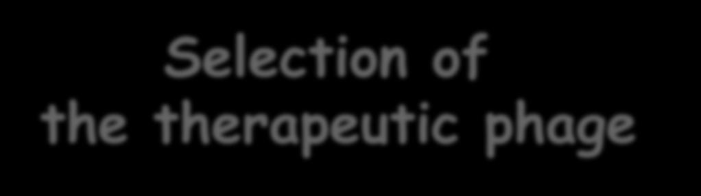 Selection of the therapeutic phage Effectiveness of a given phage Preferentially should be tested against the infecting bacterial strain Not always feasible for certain pathogens A comprehensive