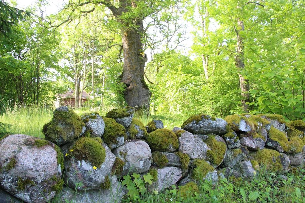 Green Care Euroopassa Luontohoivalla on erityispiirteensä eri Euroopan maissa.