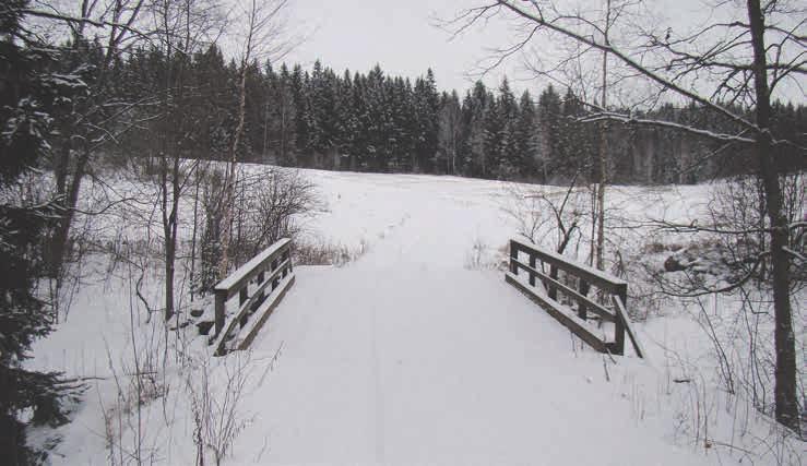 16 1/2017 Salpavaelluksella kunniaa Suomelle Ensi kesänä 24. kerran järjestettävällä Salpavaelluksella näkyy myös Suomen 100-vuotisjuhlavuosi.