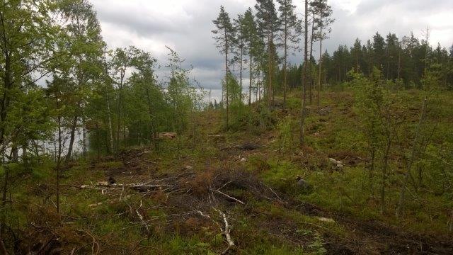 ja ympäristöarvoja omaavasta lahden lounaisesta pohjukasta kohti paremmin rakennettavissa olevaa niemen kannasta.