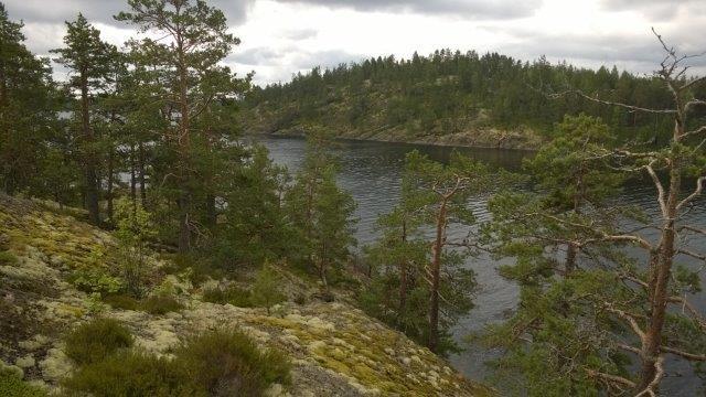 8 Sen sijaan saaren eteläpuolelta saapui kaksi huomautusta (Anne ja Mikko Helander sekä Henri ja Tuula Kohvakka/ Seppo ja Sinikka Paalanen/ Ritva ja Joona Knuuti), joissa voimakkaasti kritisoidaan