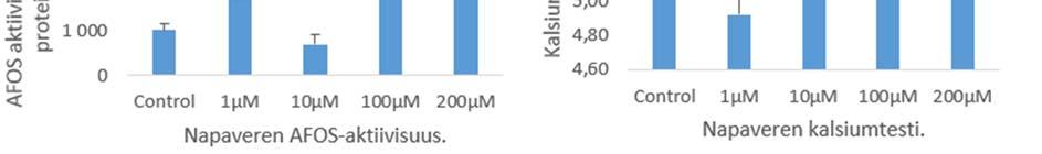 PFOA ei näytä hidastavan solujen AFOS:n aktiivisuutta, vaan pikemminkin suurentavan sitä. Suurimmilla 100µM:n ja 200µM:n PFOA-konsentraatioilla AFOS:n aktiivisuus on kasvanut verrattaessa kontrolliin.