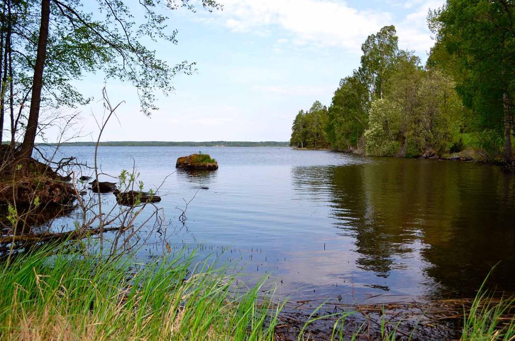 3 Rantaimeytyminen Rantaimeytymiseksi kutsutaan pintaveden imeytymistä vettä läpäisevien maakerrosten läpi pohjaveteen sellaisilla pohjavesialueilla, jotka rajoittuvat jokeen tai järveen.