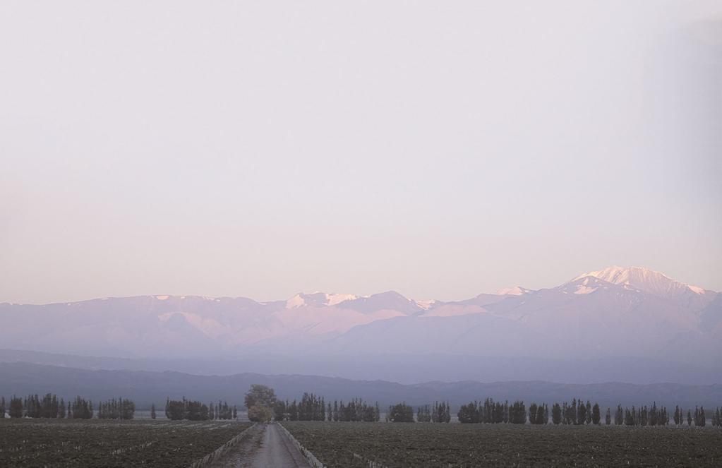 ARGENTIINA ARGENTIINA Bodegas Amalaya Masi Tupungato Bodegas Amalaya sijaitsee Argentiinan Saltassa, Calchaqui laaksossa maailman korkeimmalla viinialueella 1800 metrin korkeudessa.