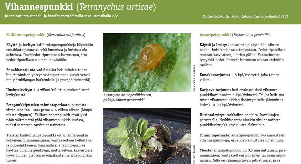 YHTEENVETO: TARKKAILU- JA PETOPUNKKIPUSSIKOETULOKSET Kokeiden perusteella voidaan luoda vihannespunkin torjuntasuunnitelma tunnelivadelmalle kaudelle 2016