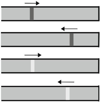 Normaalimuotoja vastaavat taajuudet f n saadaan jälleen yhtälöstä f n = v/λ n. Siten avoimelle putkelle f n = nv 2L (n = 1, 2, 3).