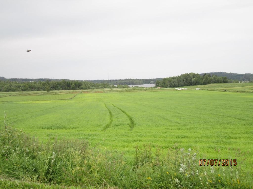 Jälän viljelysmaisema, yk:ssa MA -merkinnällä.