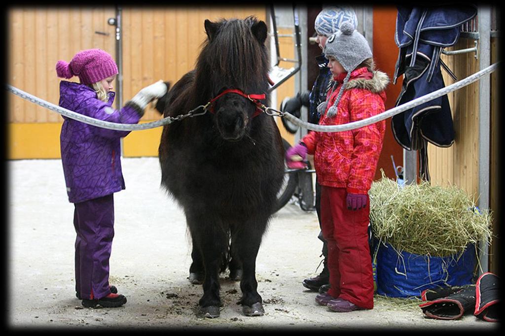 Ponikerhotoiminnan tarkoituksena on antaa lapsille mahdollisuus tutustua poneihin ohjatun toiminnan kautta ja opettaa vastuullisuutta eläimestä. (Suomen Hippos ry 2011b.) Kuva 2.