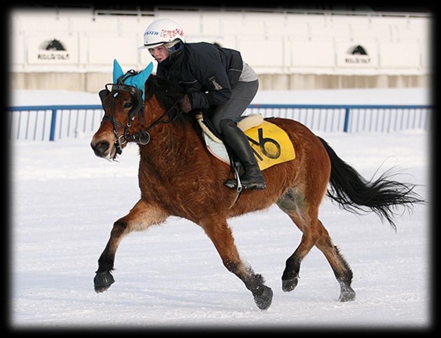 Ponimontélähdöt vuosina 2000-2011 a-kategoria b-kategoria 21 24 6 8 11 1 0 1 14 5 5 9 14 3 2005 2006 2007 2008 2009 2010 2011 Kuvio 4. Ponimontélähtöjen jakaantuminen eri kategorioille.