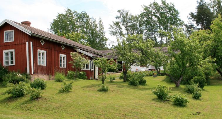 Tutustu alunperin 1700-luvun torppaan ja sen ympäristöön ja etsi Kollolan kotitontun jalanjälkiä pihapiiristä. Heinäkuun keskiviikkoisin klo 18 kuullaan esitelmiä ja kahvio on auki.