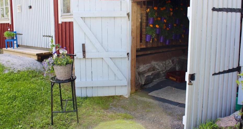 Musiikkia, runoja ja tanssia. Torstaisin klo 14 satusetti lapsille ja lastenmielisille suomeksi, ruotsiksi ja englanniksi. Cafe Ruusukuppi palvelee aukioloaikoina.