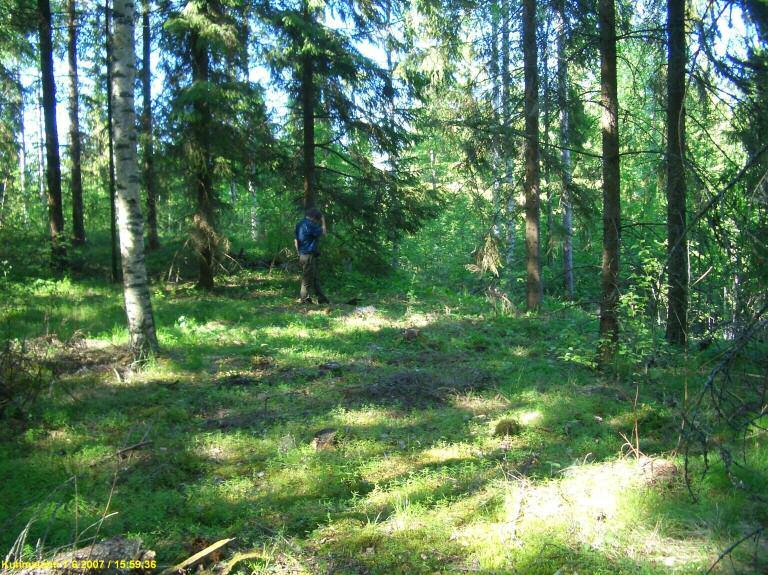 6 KUHMALAHTI 2 SARVINIEMI Rauh.