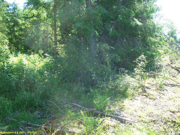 8 KUHMALAHTI 3 KALANIEMI 1 Rauh.