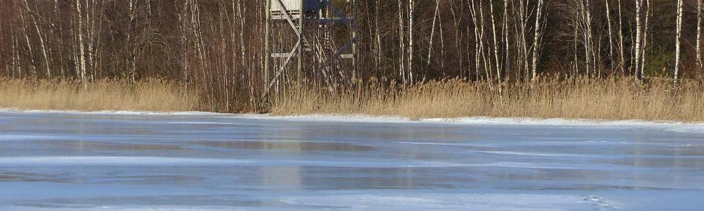 Polun pitkospuut kaipaisivat jo kovasti oikein uusimista ja huonoista pitkospuista on reitilläkin