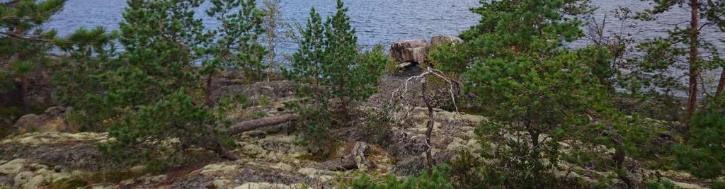 943 E) Långvikenin rannassa kuusikkometsän katveessa. Laavussa on laveri ja pöytä ja ulkopuolella tulipaikka. Reitillä on kylttejä kuten Hullu-Juss Potten, mutta ei mitään selitystä mikä tämä on.