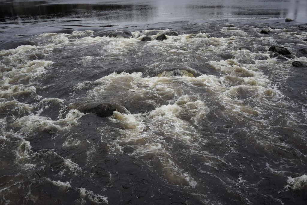 Järki Pelto-tapaaminen Kohti täyttä satoa