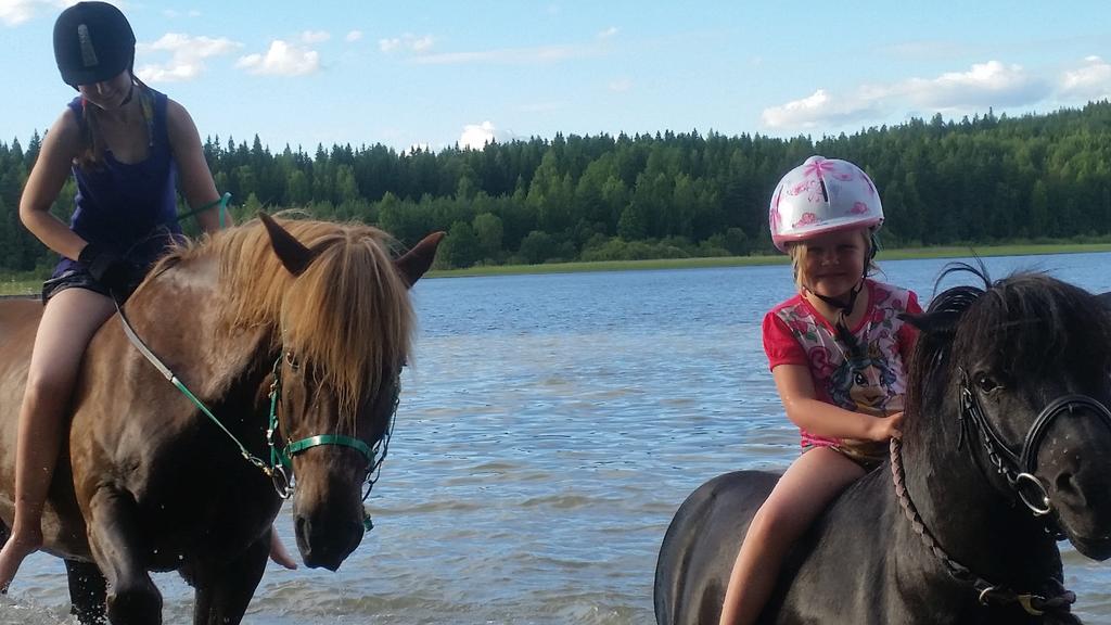 Näyttelyn kulku Hevoset ja ponit tulevat kehään pareittain ja ne arvostellaan yksittäin. Liikkeet esitetään kolmiolla ja rakenne tuomarin edessä. Kuuntele tuomarin ohjeita kehässä.