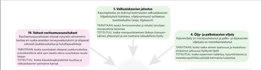 Kuvio 17.