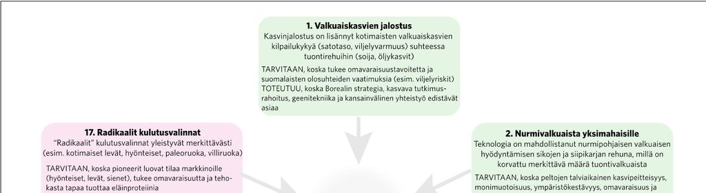 Kuvio 18.