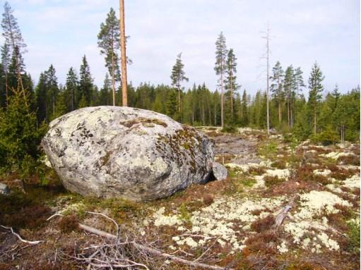 3. Tervakallion siirtolohkareet Tervakalliolla on erillisiä, harmaan kiillegneissin kalliomäkiä ja pyöristyneitä siirtolohkareita, joilla on maisemallista arvoa.