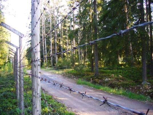 Navettamäen liito-oravareviiri Navettamäen varastoalueella on liito-oravan lisääntymis- ja levähdysalue.