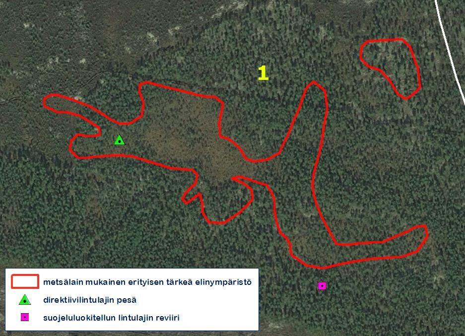 Metsälain mukaiset erityisen tärkeät elinympäristöt 1.