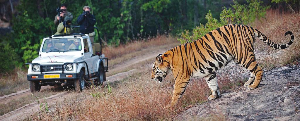 INTIAN TIIKERISAFARI 7.-18.4.2018 Virallinen matkaohjelma. Muutokset ohjelmassa ja lentoreiteissä ovat mahdollisia. La 7.4.2018 Helsinki Delhi Matka alkaa Helsinki-Vantaan lentokentältä Finnairin suoralla yölennolla Delhiin.