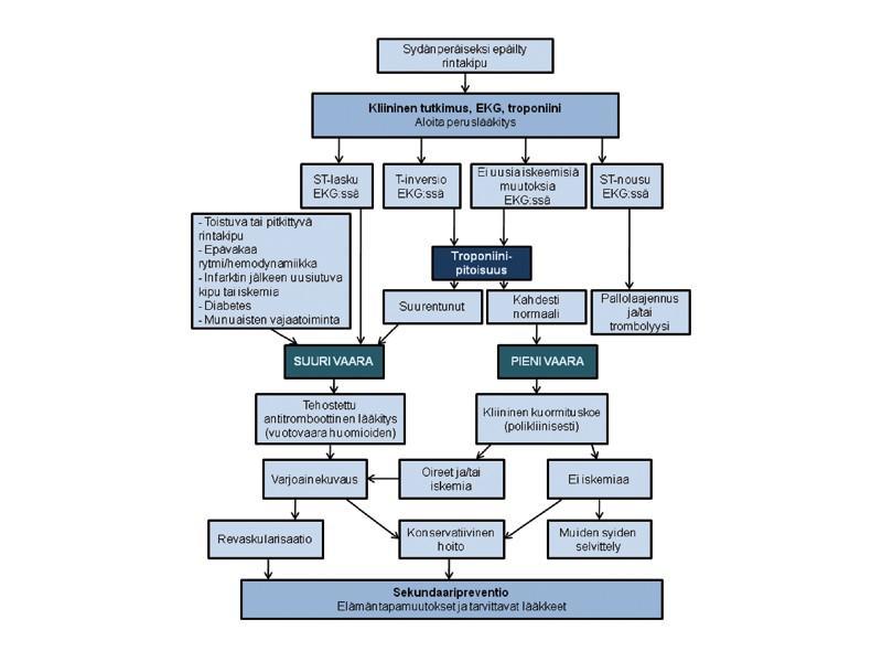 Troponiinin käyttö sydäninfarktidiagnostiikassa Sydämen vajaatoiminta Kliininen diagnoosi: Vaikea kroonisissa ja lievissä akuuteissa tapauksissa.