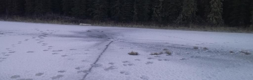 Päästöä aiheutuu alussa ja lopussa: Ampumapaikka, tuliasema, ampumaradat Maalialue,