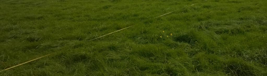 50 m x 50 m, 100 m x 100 m) DU