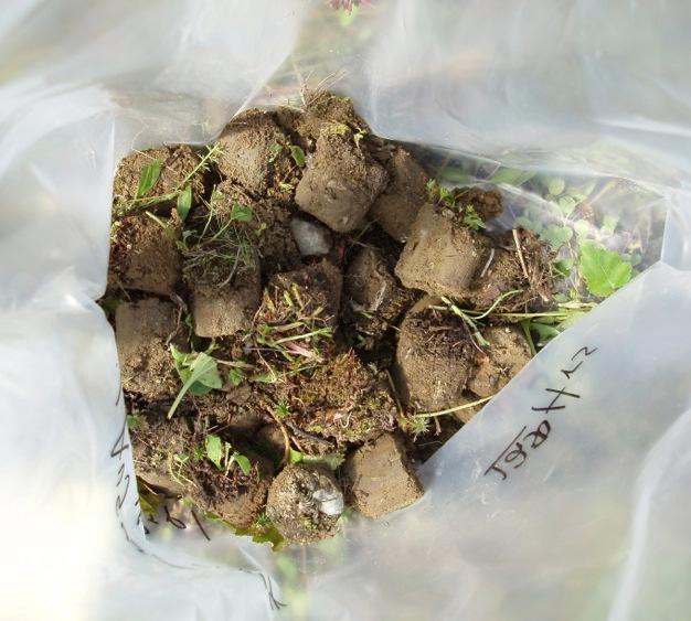 NÄYTTEEN KÄSITTELYSTÄ LABRASSA Koko näyte kuivataan (huoneen LT) saattaa kestää Koko näyte seulotaan <2 mm Koko seula-alite murskataan