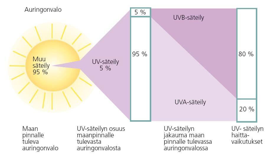 13(72) Kuvio 4: Auringonvalon UVB- ja UVA-säteilyn jakaumat ja osuudet haittavaikutuksien synnyssä /20/ Avaruudesta ja auringosta peräisin olevaan säteilyyn ja sen voimakkuuteen vaikuttavat auringon