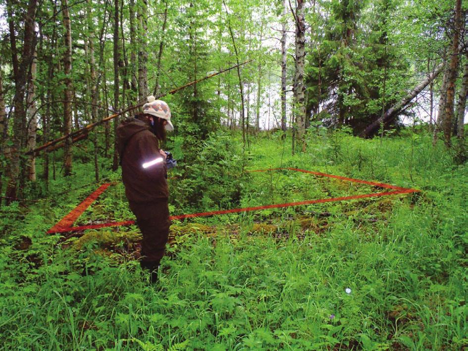 Viranomaisrekisterinro: Kunto: Olo la: Arvotus: 8 Muu suojeluarvo Kohteen 3 Huono 2 Ei käytössä 9 Muu suojeluarvo Ympäristön 99 Muu suojeluarvoa sisältävä alue P6200204_edited-2: Ison Kaitasen