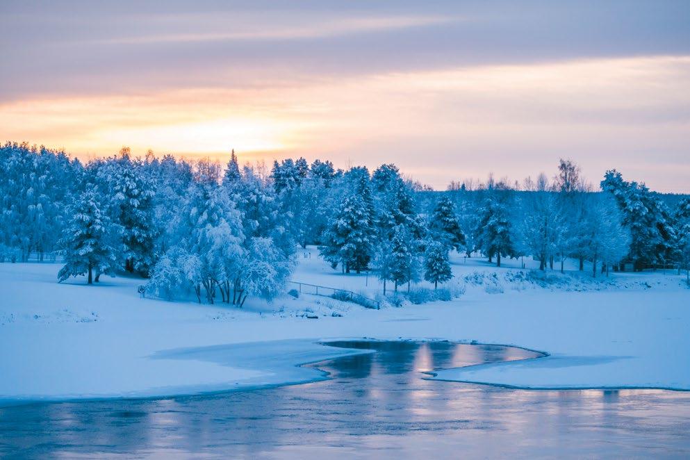 YMPÄRISTÖ YMPÄRISTÖ SAAVUTIMME YMPÄRISTÖTAVOITTEEMME Jatkoimme vuonna 2016 työtämme vesistöjen tilan ja maiseman parantamiseksi.