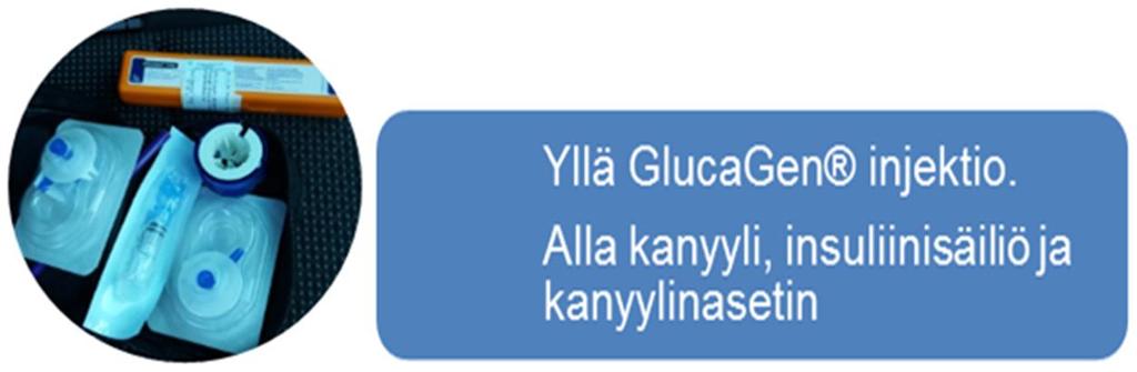 Liite 1 6 (14) Huomioitavaa verensokeritasapainossa Jos mitattu verensokeri on ALLE 4, anna HETI 4 6 kpl Siripiriä tai ½ 1 pillimehua eli 10-20 g hiilihydraattia tai muuta nopeasti imeytyvää