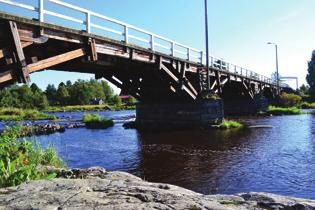 Rauhoitukseen metso, koppelo, riekko, peltopyy sekä fasaani. Jäniksen pyyntiin eri riistakiintiöitä eikä erillisiä rauhoitusalueita. Kauris rauhoitetaan koko seuran alueella.