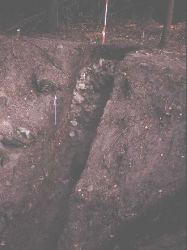 12 alkuperäistä korkeutta ei voitu määrittää, sillä sen yläosa oli hajonnut. Säilyneen osan korkeus oli 0,40 metriä. MV/RHO dia 125241: 61 Kuva 5: Uunikuopan pohjoisreunan kivimuuri länsiprofiilissa.