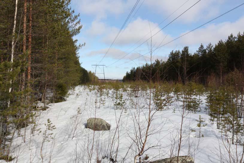 98 Kuva 8.1 Näkymä tyypilliselle 220 kv voimajohdolle.