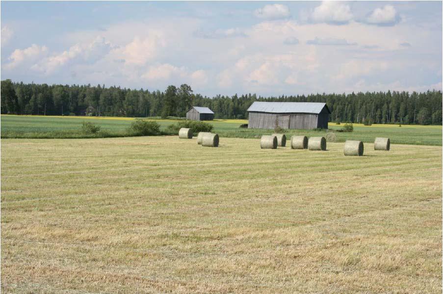 BIOKAASULAITOKSEN RAKENNUSHANKE