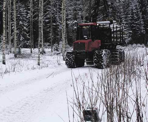 Yhdistysten puunkorjuussa taustalla on metsänhoidollinen huoli, sillä vakuustalletusten ja pinta-alaverotuksen porkkanoiden aikaan istutettuja taimikoita tulee ensiharvennusvaiheeseen ennätysvauhtia.