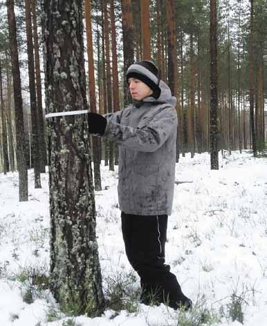 26 Tet-harjoittelussa Mikkelin toimistolla14. - 18.11.2016 Maanantaina tutustuin työpaikkaan ja sain tarvittavat varusteet viikkoa varten.