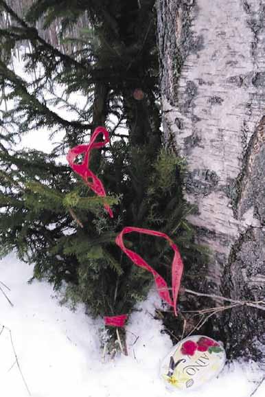 Päivän teemoina olivat puukauppakatsaus, metsätien perusparannus, kustannustehokas ja oikea-aikainen metsänhoito sekä Metsä Vastaa - kiertueen esittely.