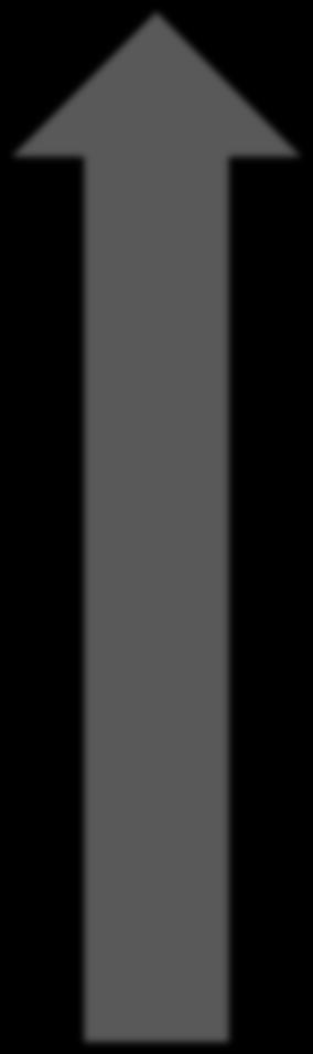 Ohjelmien johtamistapa