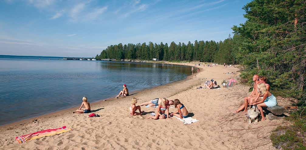 Tervan tie - leirin osallistujamäärä on noin 30 nuorta.