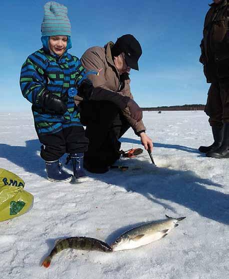 Tästä Siivouspäivästä on tarkoitus tehdä jokavuotinen aktiviteetti piirissä. Toivomus on, että jokainen klubi osallistuu päivän toteuttamiseen tavalla tai toisella.